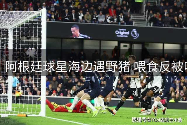 阿根廷球星海边遇野猪 喂食反被啃咬